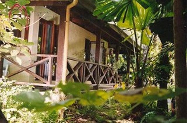 Daintree Deep Forest Lodge Кейп-Трибьюлейшн Экстерьер фото